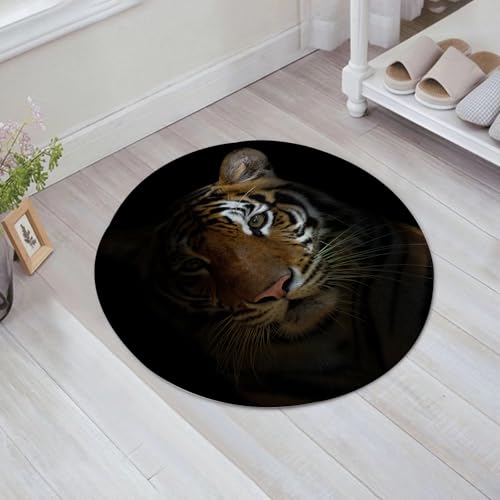 JHAOUNUK Weich Badezimmerteppich 60x60cm,Tiger, König der Sundarbans Ethnisch in einer dunklen Umgebung Majestät,rutschfest waschbar Badematte Flauschige Badteppich Saugfähig Badvorleger Duschvorleger von JHAOUNUK