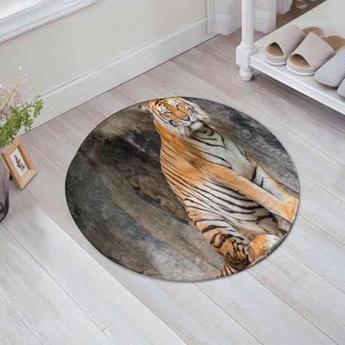 JHAOUNUK Weich Badezimmerteppich 60x60cm,Tiger im thailändischen Zoo,rutschfest waschbar Badematte Flauschige Badteppich Saugfähig Badvorleger Duschvorleger JHAOUNUK Weich Badezimmerteppich 60x60cm,Tiger im thailändischen Zoo,rutschfest waschbar Badematte Flauschige Badteppich Saugfähig Badvorleger Duschvorleger von JHAOUNUK