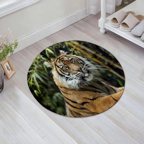 JHAOUNUK Weich Badezimmerteppich 60x60cm,Tiger ruht in freier Wildbahn. Blickkontakt mit der Kamera.,rutschfest waschbar Badematte Flauschige Badteppich Saugfähig Badvorleger Duschvorleger JHAOUNUK Weich Badezimmerteppich 60x60cm,Tiger ruht in freier Wildbahn. Blickkontakt mit der Kamera.,rutschfest waschbar Badematte Flauschige Badteppich Saugfähig Badvorleger Duschvorleger von JHAOUNUK