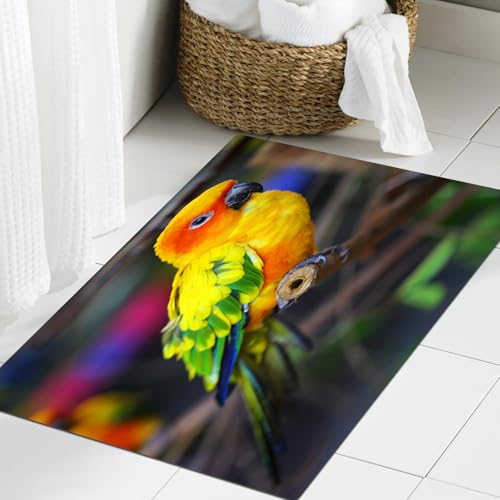 JHAOUNUK Weich Badezimmerteppich 60x90cm,Conure Schwanz Papagei Barsch auf AST Tiere Wildlife Natur Wild Bunt,rutschfest waschbar Badematte Flauschige Badteppich Saugfähig Badvorleger Duschvorleger von JHAOUNUK