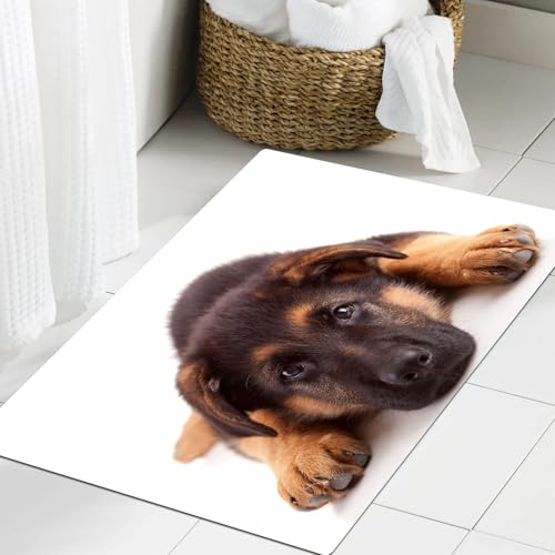JHAOUNUK Weich Badezimmerteppich 60x90cm,Deutscher Schäferhund isoliert über weiß,rutschfest waschbar Badematte Flauschige Badteppich Saugfähig Badvorleger Duschvorleger JHAOUNUK Weich Badezimmerteppich 60x90cm,Deutscher Schäferhund isoliert über weiß,rutschfest waschbar Badematte Flauschige Badteppich Saugfähig Badvorleger Duschvorleger von JHAOUNUK