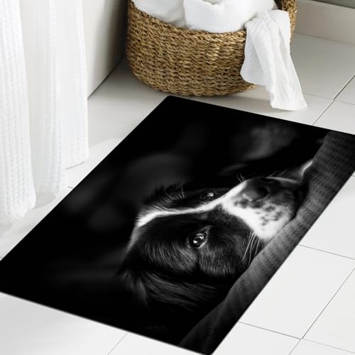 JHAOUNUK Weich Badezimmerteppich 60x90cm,Emotionales Foto unten schwarz-weißer Border Collie,rutschfest waschbar Badematte Flauschige Badteppich Saugfähig Badvorleger Duschvorleger von JHAOUNUK