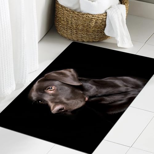 JHAOUNUK Weich Badezimmerteppich 60x90cm,Hund Schwarz Profil Labrador,rutschfest waschbar Badematte Flauschige Badteppich Saugfähig Badvorleger Duschvorleger JHAOUNUK Weich Badezimmerteppich 60x90cm,Hund Schwarz Profil Labrador,rutschfest waschbar Badematte Flauschige Badteppich Saugfähig Badvorleger Duschvorleger von JHAOUNUK