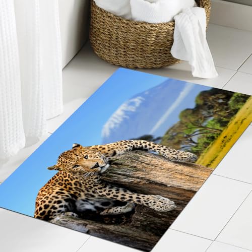 JHAOUNUK Weich Badezimmerteppich 60x90cm,Leopard sitzt auf einem Baum vor dem Hintergrund des Kilimandscharo,rutschfest waschbar Badematte Flauschige Badteppich Saugfähig Badvorleger Duschvorleger JHAOUNUK Weich Badezimmerteppich 60x90cm,Leopard sitzt auf einem Baum vor dem Hintergrund des Kilimandscharo,rutschfest waschbar Badematte Flauschige Badteppich Saugfähig Badvorleger Duschvorleger von JHAOUNUK