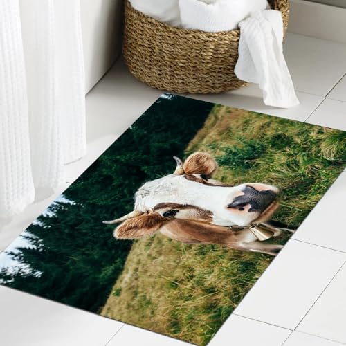JHAOUNUK Weich Badezimmerteppich 60x90cm,Lustige Kuh auf Einer Wiese im Wald. Tierischer Hintergrund,rutschfest waschbar Badematte Flauschige Badteppich Saugfähig Badvorleger Duschvorleger JHAOUNUK Weich Badezimmerteppich 60x90cm,Lustige Kuh auf Einer Wiese im Wald. Tierischer Hintergrund,rutschfest waschbar Badematte Flauschige Badteppich Saugfähig Badvorleger Duschvorleger von JHAOUNUK