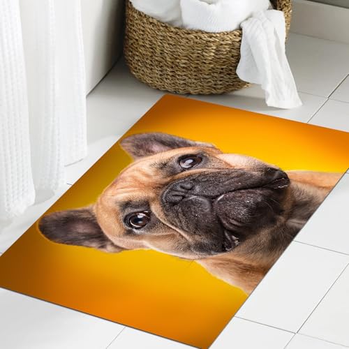 JHAOUNUK Weich Badezimmerteppich 60x90cm,Lustiger Hund süßes Haustier braun Bulldog Design,rutschfest waschbar Badematte Flauschige Badteppich Saugfähig Badvorleger Duschvorleger von JHAOUNUK
