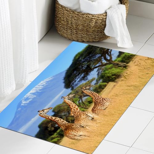 JHAOUNUK Weich Badezimmerteppich 60x90cm,Nationalpark von Kenia Afrika Wildlife Tier Natur Safari Giraffen in de,rutschfest waschbar Badematte Flauschige Badteppich Saugfähig Badvorleger Duschvorleger JHAOUNUK Weich Badezimmerteppich 60x90cm,Nationalpark von Kenia Afrika Wildlife Tier Natur Safari Giraffen in de,rutschfest waschbar Badematte Flauschige Badteppich Saugfähig Badvorleger Duschvorleger von JHAOUNUK