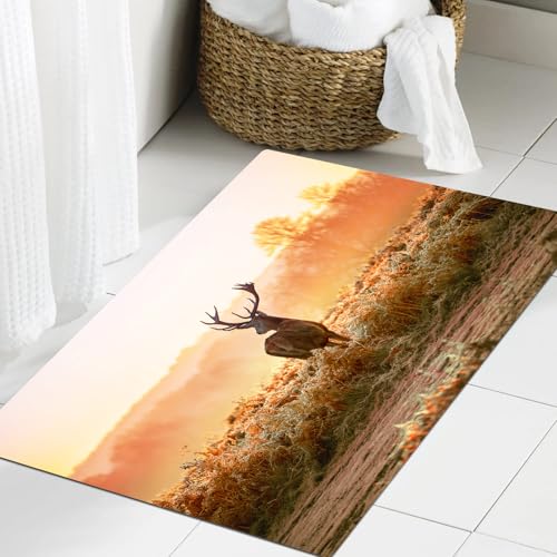 JHAOUNUK Weich Badezimmerteppich 60x90cm,Rothirsch in der Morgensonne Natur wilde Landschaft ländlichen Feld Hea,rutschfest waschbar Badematte Flauschige Badteppich Saugfähig Badvorleger Duschvorleger von JHAOUNUK