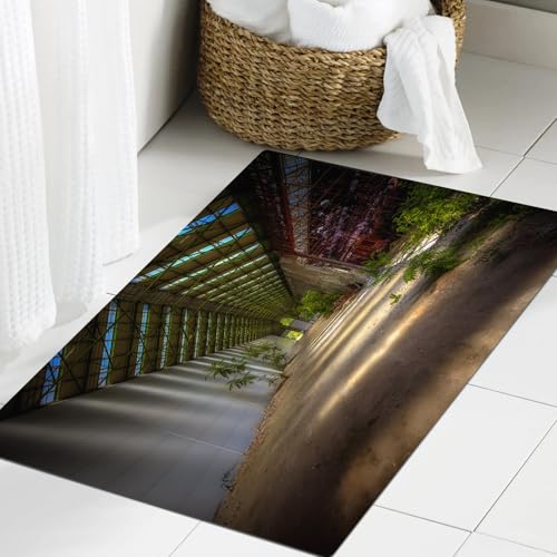 JHAOUNUK Weich Badezimmerteppich 60x90cm,Rustikale industrielle Innenausstattung Gewächshaus Landwirtschaft und,rutschfest waschbar Badematte Flauschige Badteppich Saugfähig Badvorleger Duschvorleger von JHAOUNUK