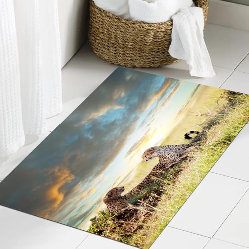JHAOUNUK Weich Badezimmerteppich 60x90cm,Safari-Dekor, Zwei Geparden, Afrika Natur, Gefährliche Tiere, Jäger,rutschfest waschbar Badematte Flauschige Badteppich Saugfähig Badvorleger Duschvorleger von JHAOUNUK