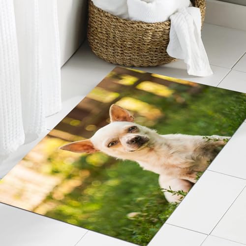 JHAOUNUK Weich Badezimmerteppich 60x90cm,Stammbaum Chihuahua kleinen Freund Tiere Junge Tierwelt Natur Haustier,rutschfest waschbar Badematte Flauschige Badteppich Saugfähig Badvorleger Duschvorleger von JHAOUNUK