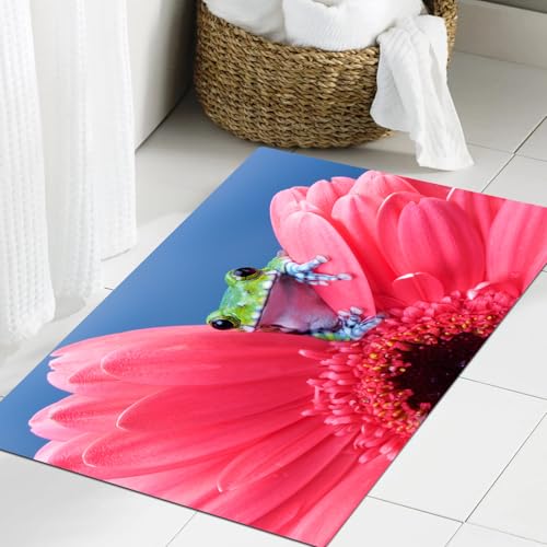 JHAOUNUK Weich Badezimmerteppich 60x90cm,Tierdekor, süßer Kleiner Laubfrosch auf Gerbera-Blume, magische Natur,rutschfest waschbar Badematte Flauschige Badteppich Saugfähig Badvorleger Duschvorleger JHAOUNUK Weich Badezimmerteppich 60x90cm,Tierdekor, süßer Kleiner Laubfrosch auf Gerbera-Blume, magische Natur,rutschfest waschbar Badematte Flauschige Badteppich Saugfähig Badvorleger Duschvorleger von JHAOUNUK