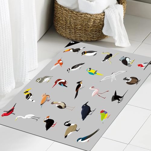 JHAOUNUK Weich Badezimmerteppich 60x90cm,Verschiedene Vögel Cartoon-Vektor-Illustration 1,rutschfest waschbar Badematte Flauschige Badteppich Saugfähig Badvorleger Duschvorleger von JHAOUNUK