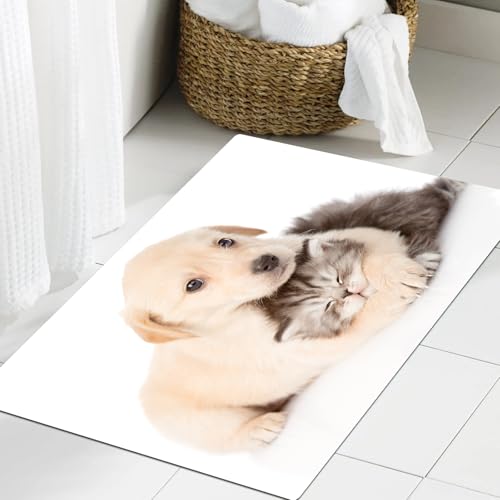 JHAOUNUK Weich Badezimmerteppich 60x90cm,Welpe Hund umarmt britische Katze, isoliert auf weißem Hintergrund,rutschfest waschbar Badematte Flauschige Badteppich Saugfähig Badvorleger Duschvorleger von JHAOUNUK