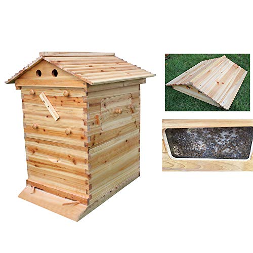JHKGY Natürlicher Holzbienenstock Für Bienen -Bienenhaus 65 X 43 X 23 cm Imkerhaus Aus Holz Insektenbienenstock,Einfach Aufzuhängen - Weihnachtsgeschenkidee von JHKGY