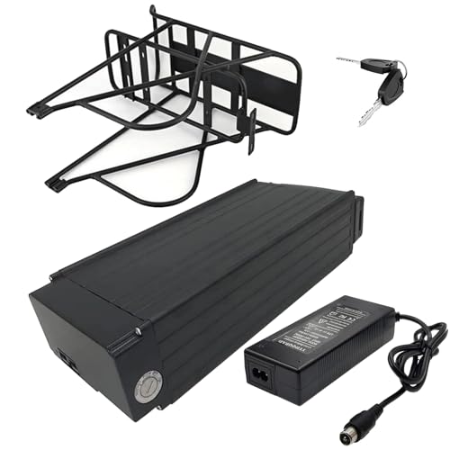 JHKJ Lithium-Ionen-Akku 48 V 20 Ah Lithium-Akku 36 V 20 Ah Li-Ionen-Akku 48 V Rackback-Akku mit Ladegerät und Halterung und Rücklicht für 300 W – 1000 W Motor-Kit,36v20ah von JHKJ