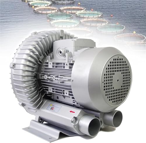Einphasiger Wirbelring-Gebläsemotor 120–7500 W regeneratives Gebläse (0,16–10 PS) ölfreie elektrische Luftpumpe for Klärgruben und Abwasserbelüftungssysteme(1.5KW/380V) von JHOMHF