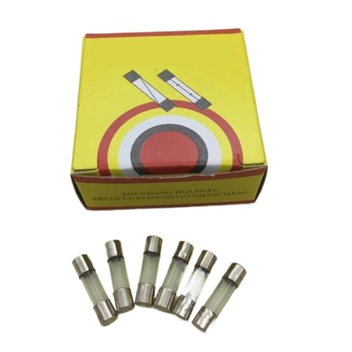 100 teile/schachtel sicherung rohr 5X20 6X30 5 * 20mm 6 * 30mm L250V F1A 2A 3 4 5 6 10 15 20 25 30A(30A) von JHPWKRMU