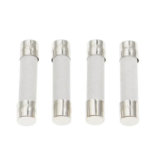Sicherungsrohr 5X20MM 6X30MM Sicherung 250V 0,5A 1A 2A 3A 4A 5A 6A 6,3A 8A 10A 15A 20A 25A 30A(0.25A,6X30MM_10PCS) von JHPWKRMU