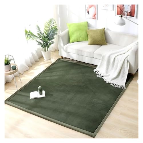 JHSDHYD Teppich Flauschig 2 cm Dicker Korallenvlies-Teppich for Wohnzimmer, große Teppiche, Heimdekoration, Kinderschlafzimmer, Spielteppiche, Balkonkissen(Green,80x200cm 31.5x78in) von JHSDHYD