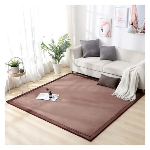JHSDHYD Teppich Flauschig 2 cm Dicker Korallenvlies-Teppich for Wohnzimmer, große Teppiche, Heimdekoration, Kinderschlafzimmer, Spielteppiche, Balkonkissen(Light Brown,80x200cm 31.5x78in) von JHSDHYD