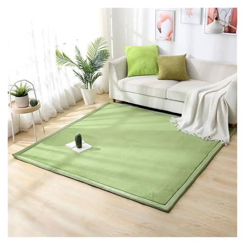 JHSDHYD Teppich Flauschig 2 cm Dicker Korallenvlies-Teppich for Wohnzimmer, große Teppiche, Heimdekoration, Kinderschlafzimmer, Spielteppiche, Balkonkissen(Light Green,60x160cm 23.6x63in) von JHSDHYD