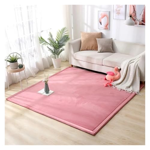 JHSDHYD Teppich Flauschig 2 cm Dicker Korallenvlies-Teppich for Wohnzimmer, große Teppiche, Heimdekoration, Kinderschlafzimmer, Spielteppiche, Balkonkissen(Pink,50x160cm 19.7x63in) von JHSDHYD