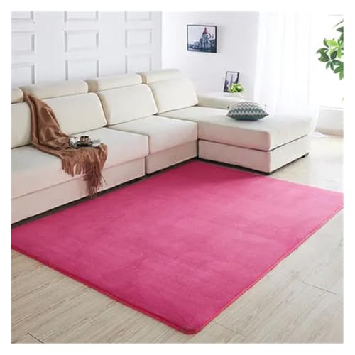 JHSDHYD Teppich Flauschig Korallensamt-Teppich for Wohnzimmer, Couchtisch, Decke, Schlafzimmer, Nachttischmatte, Bettvorleger, Tatami-Yoga-Matte, 140 cm x 200 cm(3,160x200cm) von JHSDHYD