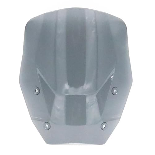 JHVVBFWF Für B&MW R 1300 GS R1300GS R1300 GS Motorrad Frontscheibe Windabweiser R 1300GS Zubehör Frontspoiler(Gray) von JHVVBFWF