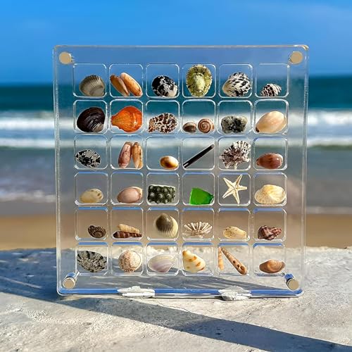 Muschel-Display-Box,36 Gitter Magnetische Muschel-Display-Box aus Acryl Magnetische Muschel-Vitrine Aus Acryl Klare Diamant Edelstein Muschel Seestern Schmuck Organizer Box für Muschel, Nagel, Schmuck von JHXhhthongtong