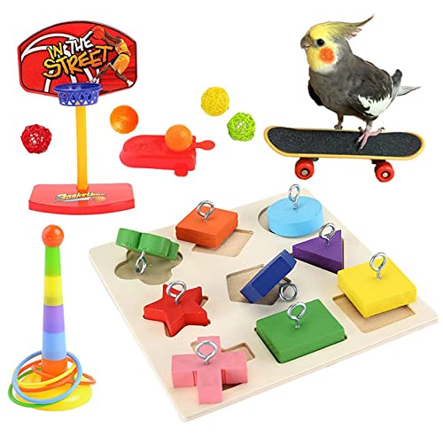 Vogelspielzeug Papageienspielzeug Vogel Spielzeug Wellensittich Spielzeug Nymphensittich Spielzeug Papagei Intelligenz Spielzeug mit Skateboard Trainingsringe für Papageien, Vögel, Sittich von JHXhhthongtong