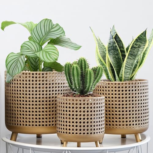 JHY DESIGN Set mit 3 Blumentöpfen, Metalldekoration, Blumentöpfe mit Hohlem Design, Große Pflanzgefäße für drinnen und draußen, Garten, Zuhause, Balkon, Geländer, Zaunpflanzen(Gold) JHY DESIGN Set mit 3 Blumentöpfen, Metalldekoration, Blumentöpfe mit Hohlem Design, Große Pflanzgefäße für drinnen und draußen, Garten, Zuhause, Balkon, Geländer, Zaunpflanzen(Gold) von JHY DESIGN