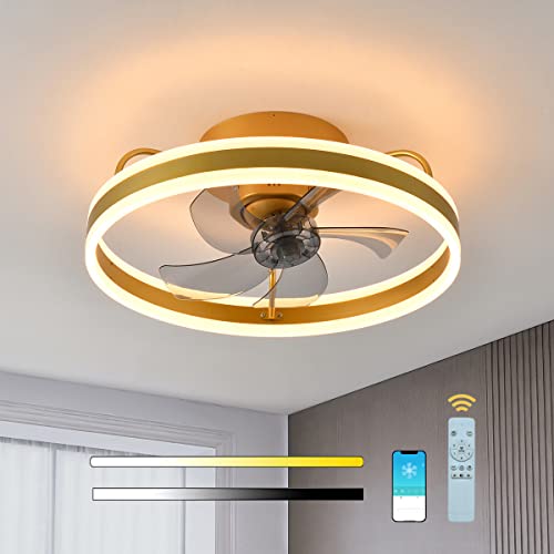 JHYPVII LED Moderner Deckenventilator mit Beleuchtung Dimmbar Ventilator Deckenleuchte Gold mit Fernbedienung App 60W Leise Fan Lüfter Licht Reversibel 6 Einstellbare Runde von JHYPVII