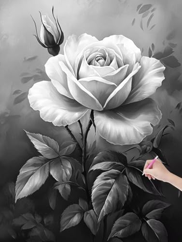 Diamond Painting Erwachsene Rose, DIY Grau Diamond Painting Eckige Steine Set, Diamant Kunst Bilder für Anfänger, Diamant Malerei Bastelset Erwachsene für Zimmer Wand Deko, Geschenke, 30x40 cm, D-49 von JIAGUANG