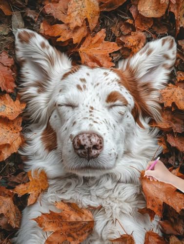 Diamond Painting Hund, DIY Diamant Painting Bilder Herbst für Erwachsene Anfänger, Vollbohrer Diamant Malerei Eckige Steine als Geschenke Weihnachten, Bastelset Erwachsene für Wanddeko 90x120 cm, D-64 von JIAGUANG