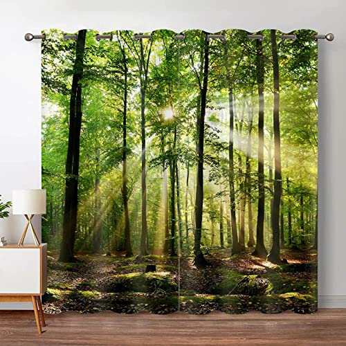 JIAMELUCK Wald-Verdunklungsvorhänge, Dschungel, Baum, Natur, Landschaft, Fenstervorhang, Wohnzimmer, Schlafzimmer, Wasserfall, bedruckter Vorhang, 229 x 274 cm x 2 (B x H) von JIAMELUCK