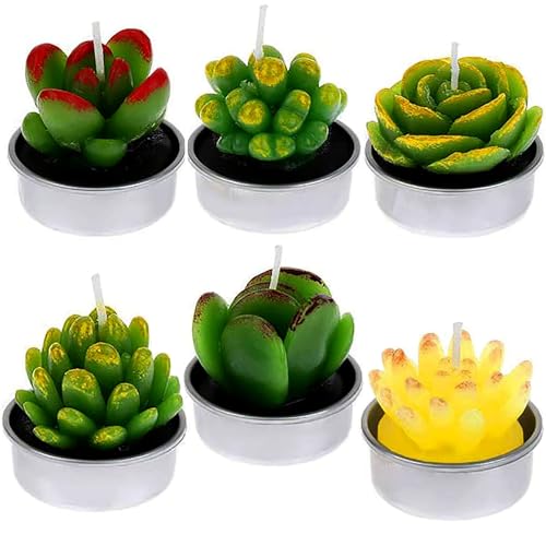 JIAMIAN 6 PCS Decorative Kaktus Kerzen Rauchfrei, Sukkulente Cactus Candle Geschenkset, Handgemachtes Zartes Rauchloses Süßes Grünes Pflanzen für Dekoration Geschenk von JIAMIAN