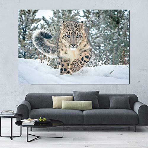 JIANGCJ Leinwand Gemälde Weiße Leoparden Tier Schneeleopard Bilder Poster Pirnts Wildlife Wandkunst Wohnzimmer Wohnkultur 40x60cm Rahmenlos von JIANGCJ