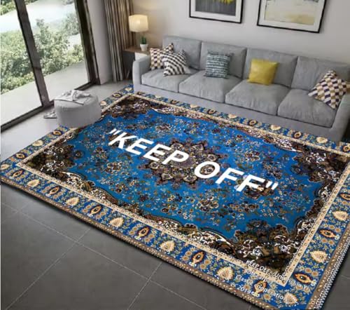 JIAOJING Halten Sie Sich Von Creat Teppich Für Wohnzimmer Schlafzimmer Decorat Teppich Küche Waschraum Badezimmer rutschfeste Bodenfläche Matte 80X120Cm von JIAOJING