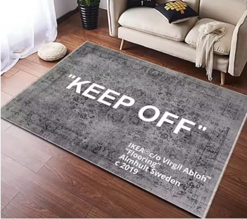 JIAOJING Halten Sie Sich Von Teppich Dekor Teppiche Wohnzimmer Zuhause Freizeitbereich Anti-Rutsch-Teppich Nachttisch Weiche Fußmatten Indoor Extrance Fußmatte 100X160Cm von JIAOJING