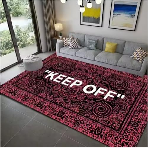 JIAOJING Halten Sie Sich Von Teppich Fern Für Wohnzimmer Wohnkultur Sofa Tisch Schlafzimmer Nachttisch Fuß Pad Flur Balkon Teppiche Fußmatte 50X80Cm von JIAOJING