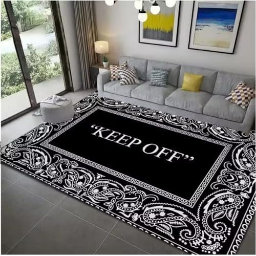 JIAOJING Halten Sie Sich Von Teppich Fern Für Wohnzimmer Wohnkultur Sofa Tisch Schlafzimmer Nachttisch Fuß Pad Flur Balkon Teppiche Fußmatte 80X150Cm von JIAOJING