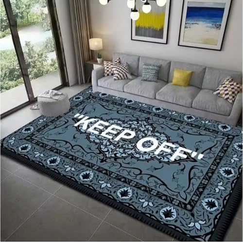 JIAOJING Halten Sie Sich Von Teppich Fern Für Wohnzimmer Wohnkultur Sofa Tisch Schlafzimmer Nachttisch Fußpolster Flur Balkon Teppiche Fußmatte 120X160Cm von JIAOJING