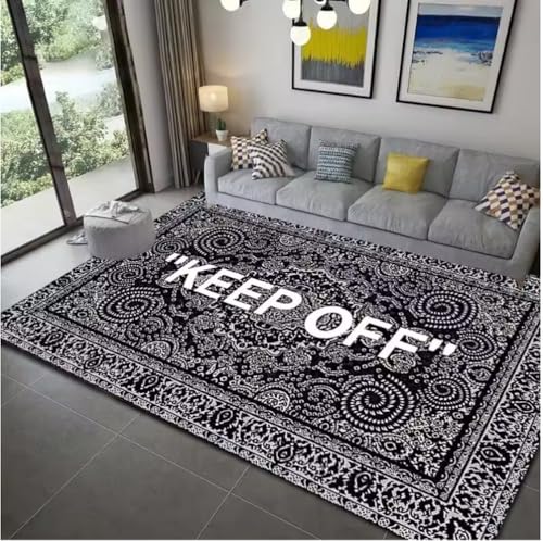 JIAOJING Halten Sie Sich Von Teppichen Fern Für Wohnzimmer Wohnkultur Sofa Tisch Teppiche Schlafzimmer Nachttisch Fußpolster Flur Balkon Teppiche 120X160Cm von JIAOJING