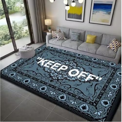 JIAOJING Halten Sie Sich Von Teppichen Fern Für Wohnzimmer Wohnkultur Sofa Tisch Teppiche Schlafzimmer Nachttisch Fußpolster Flur Balkon Teppiche 120X160Cm von JIAOJING