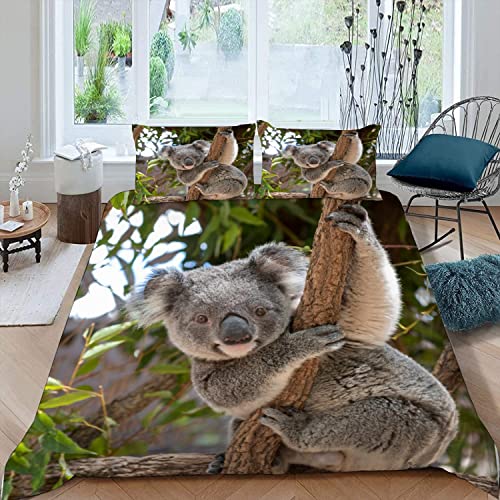 JIARAO Bettwäsche 135×200 3D Druck Koala Auf Eukalyptus Bettwäsche Set Weiche kuschelig Mikrofaser mit Reißverschluss Kinder Sommer Bettbezüge und 2 Kissenbezug 80x80 cm Tropenwald von JIARAO