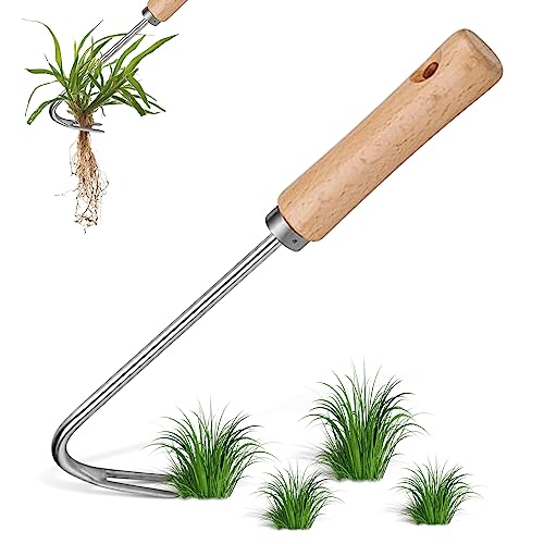 Unkrautstecher Edelstahl, Manueller Unkrautjäter Weeder Wurzeljäter Unkrautkratzer zum Entfernen von Moos und Unkraut Holzgriff, Edelstahlkopf, für Garten zum Graben, Umpflanzen, Jäten (A) Unkrautstecher Edelstahl, Manueller Unkrautjäter Weeder Wurzeljäter Unkrautkratzer zum Entfernen von Moos und Unkraut Holzgriff, Edelstahlkopf, für Garten zum Graben, Umpflanzen, Jäten (A) von JIASHA