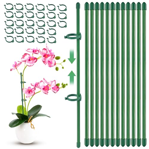 45Pcs Orchideen Stäbe,15 Pflanzenstütze mit 30 Karabinern Ausgestattet, Rankhilfe, Pflanzenhalter, Blumenstütze Zimmerpflanzen, Rankhilfe Zimmerpflanzen, für Orchideen Pfingstrosen Kletterpflanzen 45Pcs Orchideen Stäbe,15 Pflanzenstütze mit 30 Karabinern Ausgestattet, Rankhilfe, Pflanzenhalter, Blumenstütze Zimmerpflanzen, Rankhilfe Zimmerpflanzen, für Orchideen Pfingstrosen Kletterpflanzen von JIEBAO