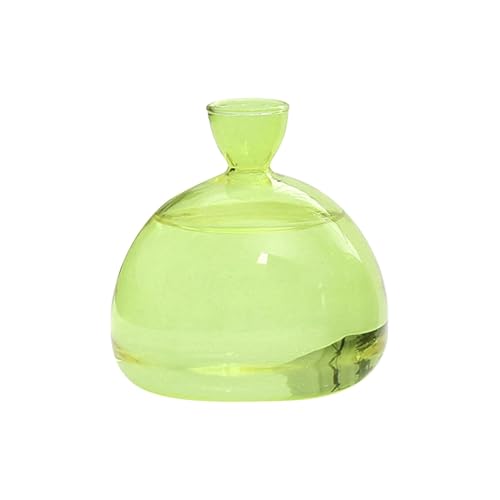 JIEBWCHA Avocado-Vase, Avocado-Vase Aus Glas, Glas Avocado Baum Blumenvasen, Transparente Avocado-Samen-Starters-Pflanzgefäß-Vase, Hochwertiges Keimglas, Besonderes Garten Geschenk von JIEBWCHA