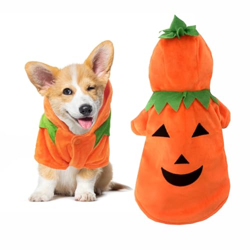 JIEFULL Hunde-Kürbis-Kostüm für Hunde, Halloween-Outfit mit Kürbis-Kapuzenpullover, niedliches Haustier-Halloween-Bekleidung für kleine Rassen, Kürbis-Hundekostüm für mittelgroße bis große Hunde JIEFULL Hunde-Kürbis-Kostüm für Hunde, Halloween-Outfit mit Kürbis-Kapuzenpullover, niedliches Haustier-Halloween-Bekleidung für kleine Rassen, Kürbis-Hundekostüm für mittelgroße bis große Hunde von JIEFULL